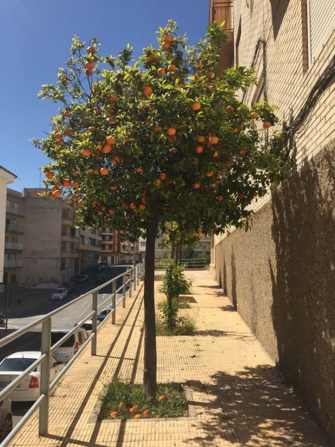 Apartment Sunny Harbour 圣波拉 外观 照片